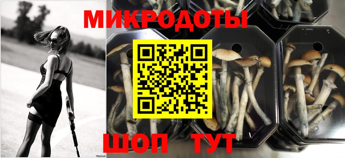 Дмитров  Псилоцибиновые грибы ЛСД  Псилоцибиновые грибы ЛСД  Вход с VPN 