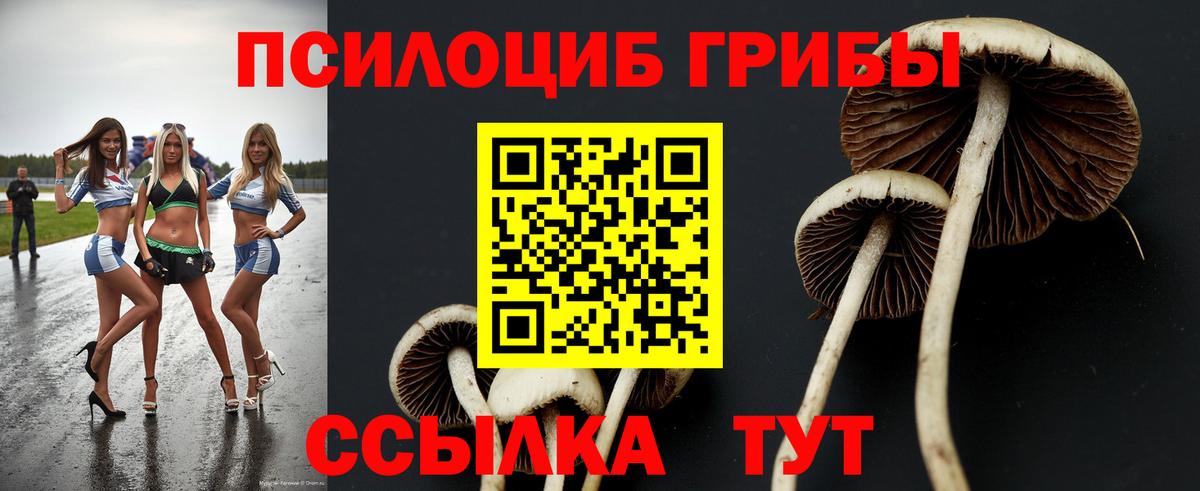 Галлюциногенные грибы ЛСД Дмитров